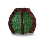 Terracotta Planter - Image 2