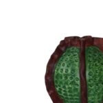 Terracotta Planter - Image 3